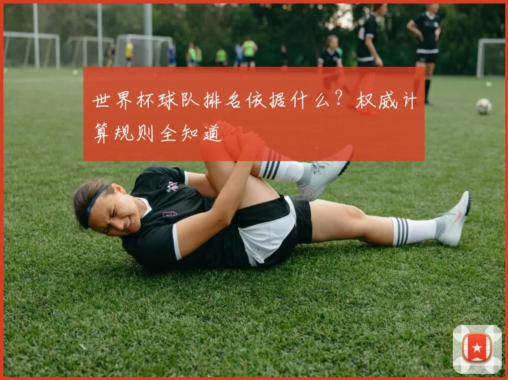 世界杯球队排名依据什么？权威计算规则全知道