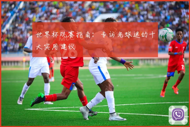 世界杯观赛指南:专访老球迷的十大实用建议