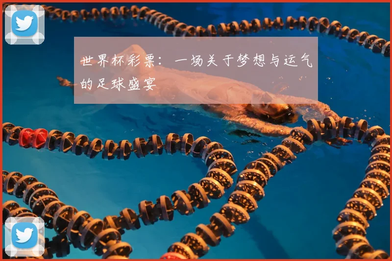 世界杯彩票：一场关于梦想与运气的足球盛宴