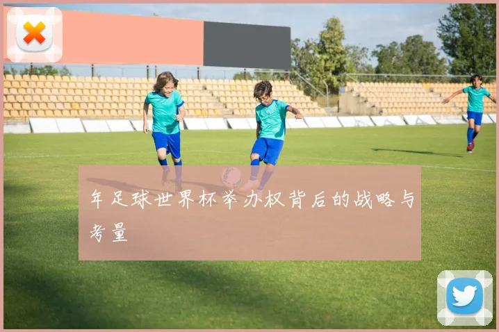 年足球世界杯举办权背后的战略与考量