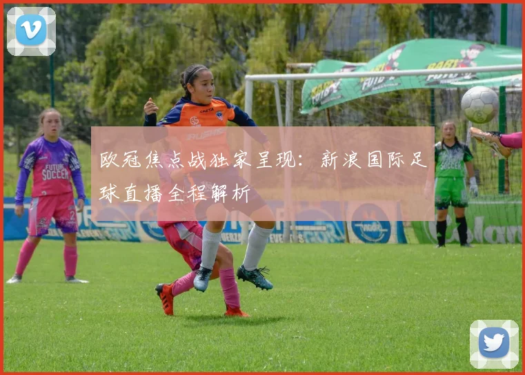 欧冠焦点战独家呈现:新浪国际足球直播全程解析