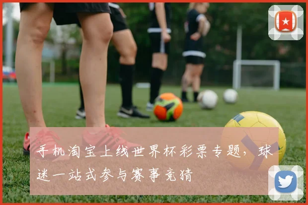 手机淘宝上线世界杯彩票专题，球迷一站式参与赛事竞猜