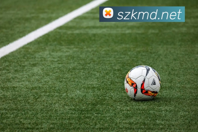 乐竞平台首页发展历程